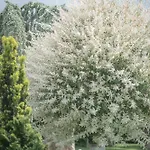 Gaestehaus Maurer/bader פלדקירשן אין קרנטן