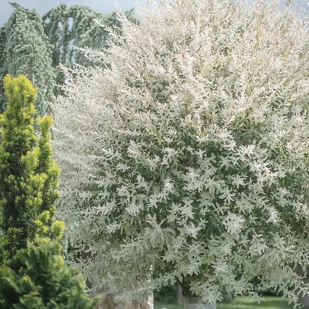 Gaestehaus Maurer/bader Feldkirchen in Kärnten