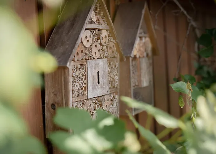 Pensionat Gaestehaus Maurer/bader Feldkirchen in Kärnten