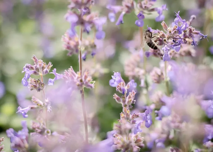 Gaestehaus Maurer/bader Pensionat 4*