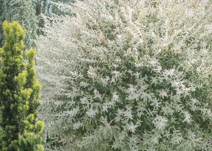 Gaestehaus Maurer/bader פלדקירשן אין קרנטן